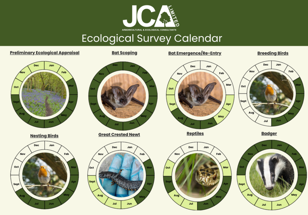 Ecology Survey Calendar by JCA Ecological Consultants